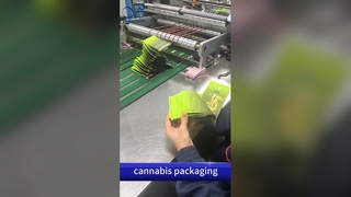 Tas Keluar Tahan Anak: Kantong Cetak Kustom B2B Anti Bau Sesuai Paten AS