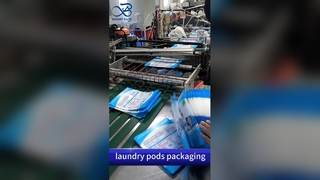 Tas Kunci Zip Kapsul Binatu: Kantong Kedap Udara Cetak Kustom B2B Anti Bocor Tahan Anak