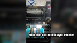 Kantong Mylar Cetak Kantong Penyimpanan Kedap Udara Food Grade yang Dapat Ditutup Kembali