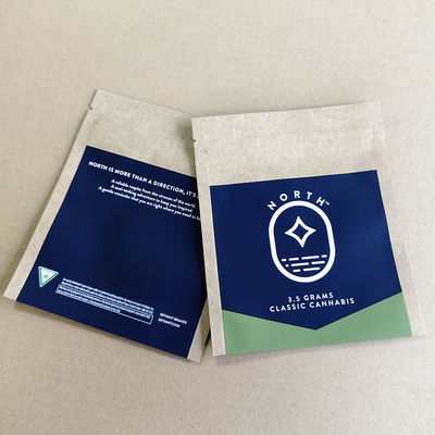 Kantong Kertas Kraft Cetak Kustom Pesanan Massal Ramah Lingkungan Cetak Logo 10 Warna Ritel.